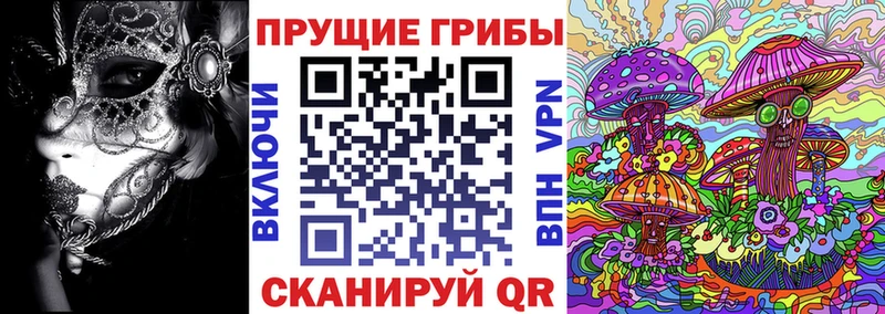 Галлюциногенные грибы GOLDEN TEACHER  где найти   Дыгулыбгей 